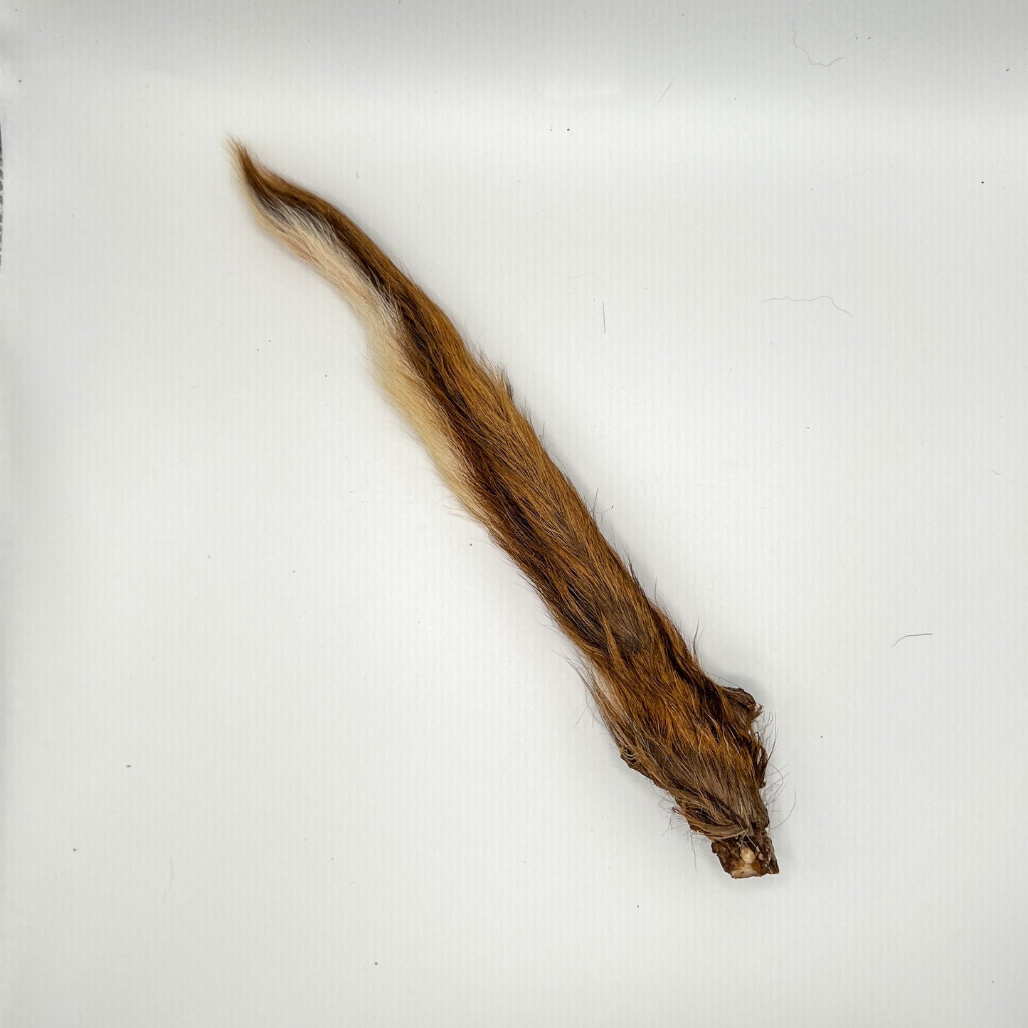Dehydrated Venison Tail